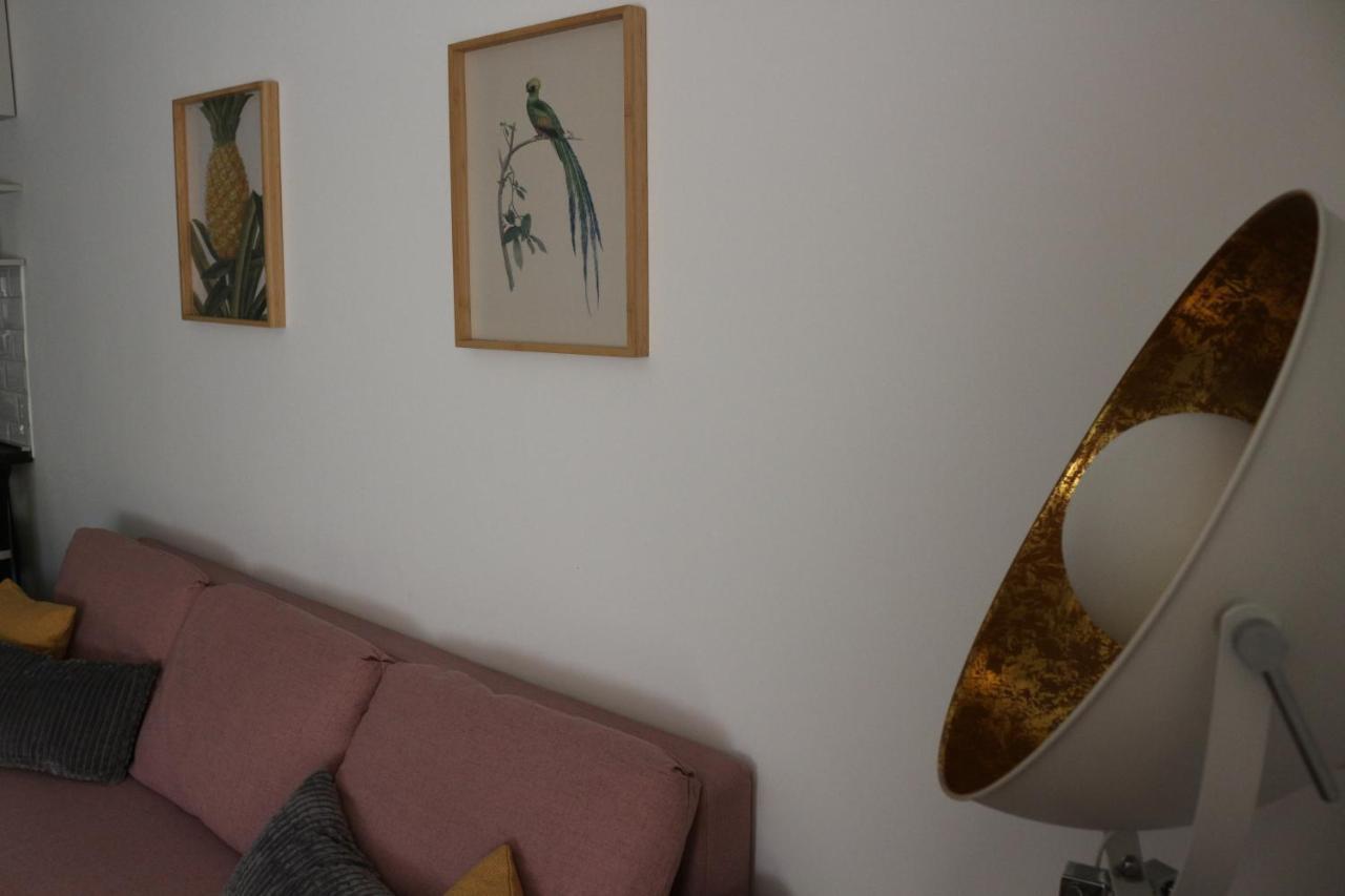 זאגרב Luca, Digital Nomad Getaway Studio Apartment מראה חיצוני תמונה
